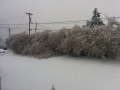 2014-02-05 07.53.36