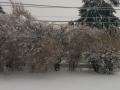 2014-02-05 07.53.49