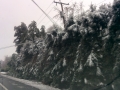2014-02-05 08.55.24