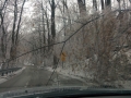 2014-02-05 09.42.32