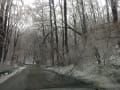 2014-02-05 09.42.36